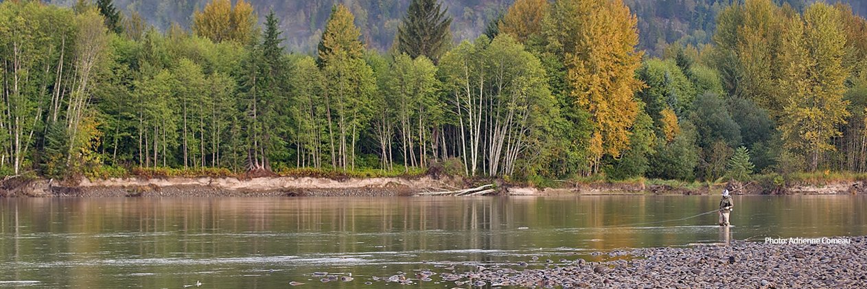 Fishing BC banner
