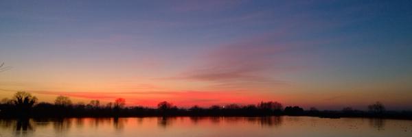 TringBirds Profile Banner