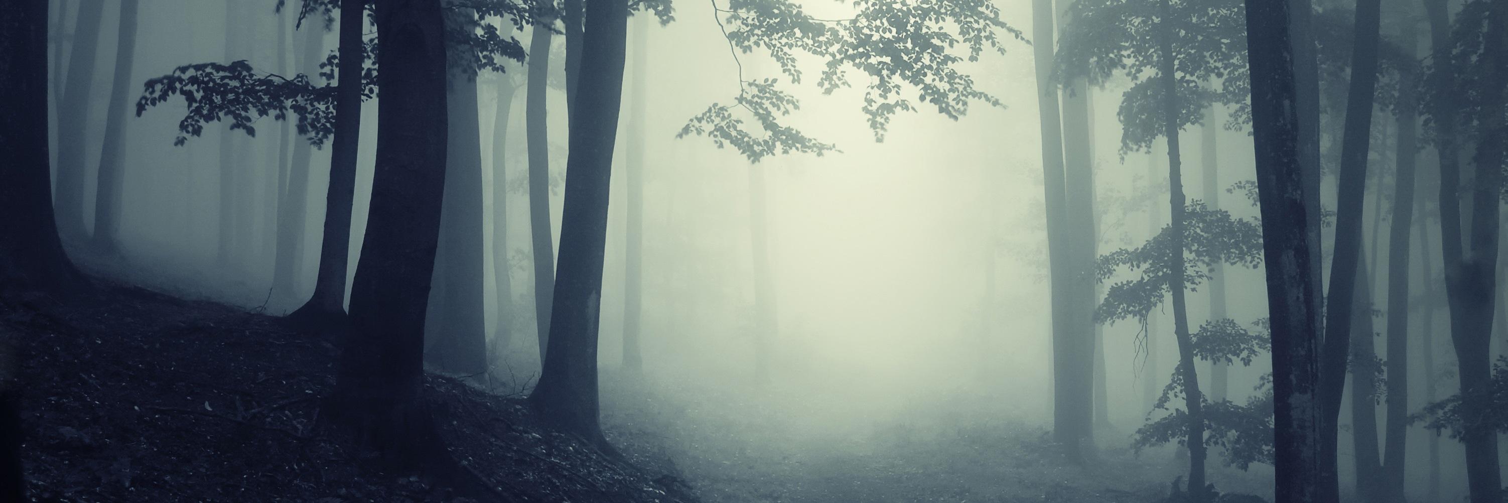 AaronMahnke's profile banner image