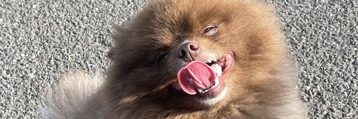 Michelle Shaughnessy banner