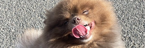 Michellesfunny Profile Banner