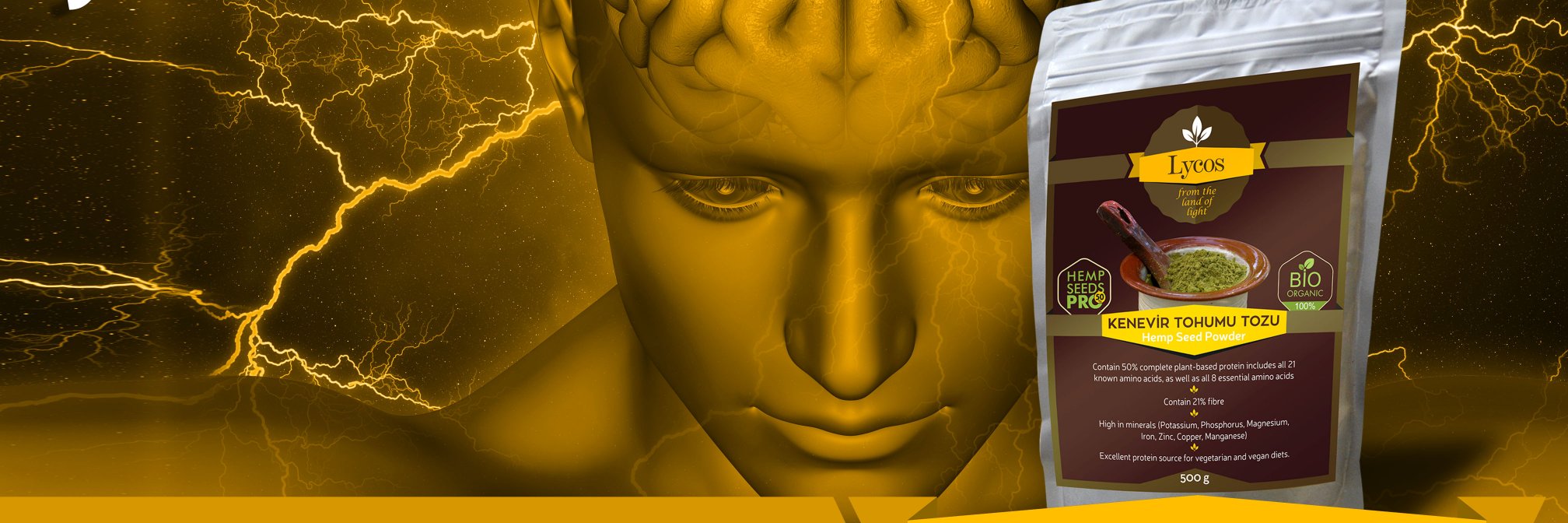 Twitter banner for @lycos