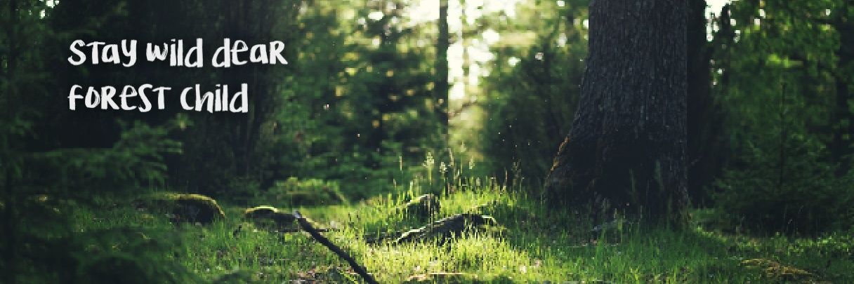 LoboWinchester's profile banner image