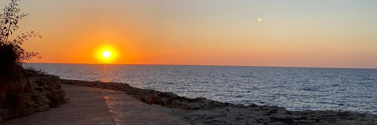 EmelineBor's profile banner image