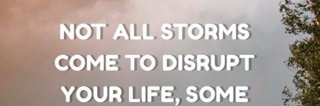 marshataylor43's profile banner image