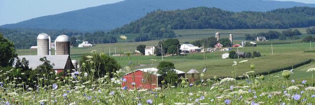 SnyderCounty's profile banner image