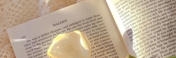 easxywin Profile Banner