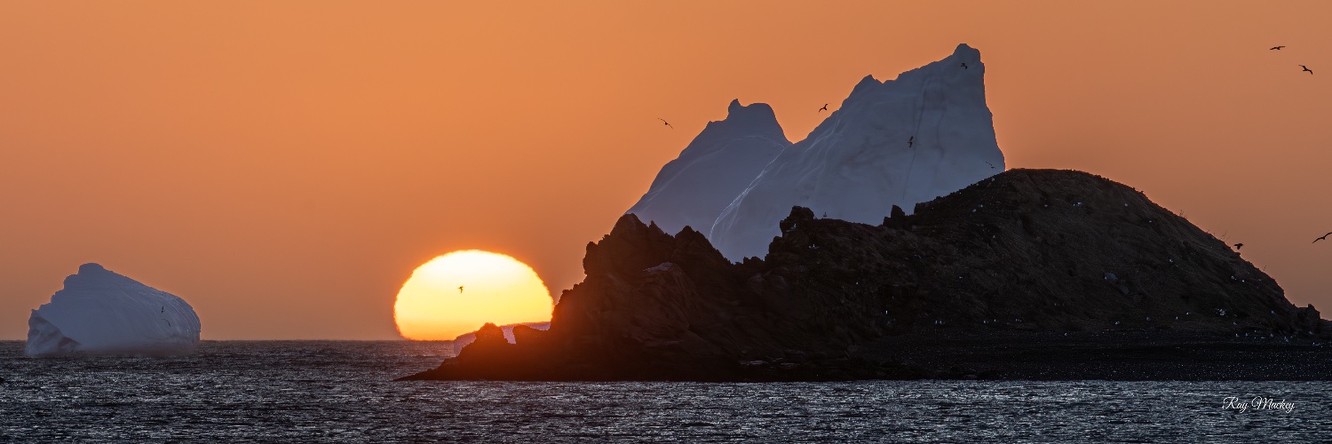 Ray Mackey Photo banner