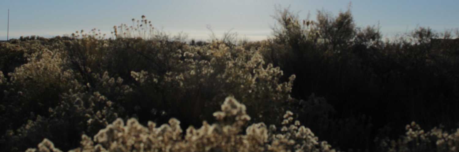 EmilyGaugler's profile banner image