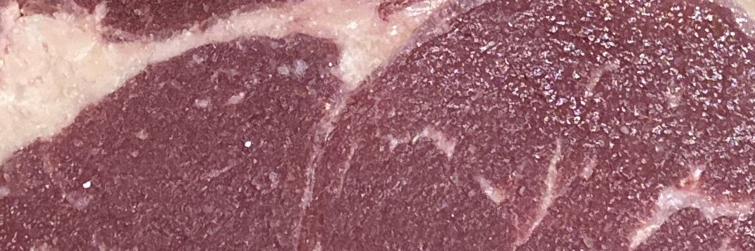 Bitcoign 80 IQ / ∞21m banner