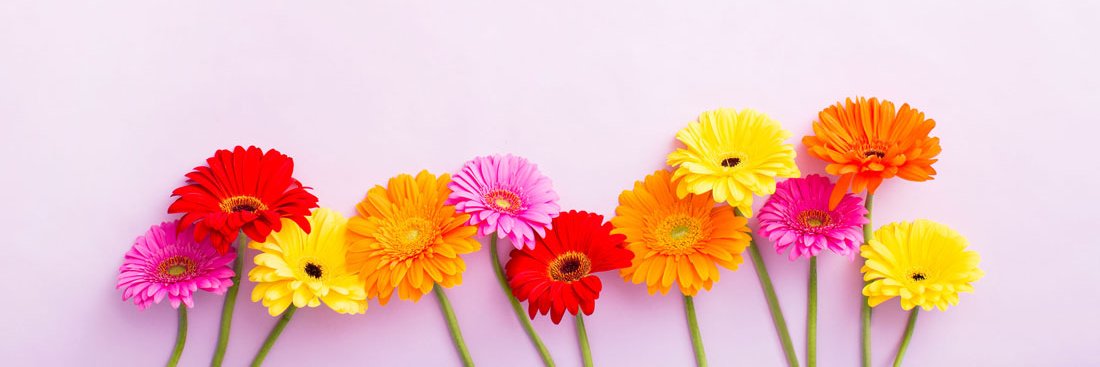 aichaaaa____'s profile banner image
