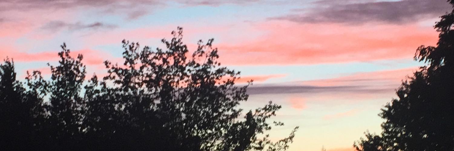 michelle tremblett banner