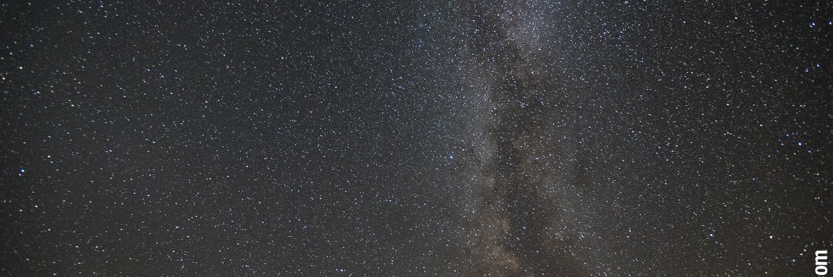 nicholas wray banner