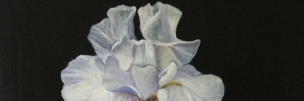 ladysirius1 Profile Banner