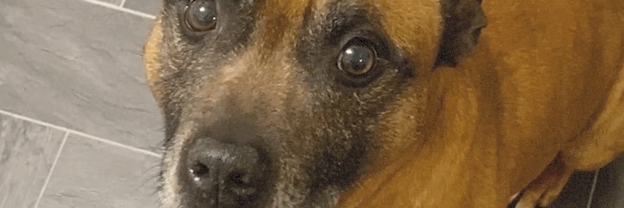 alanthomas64's profile banner image