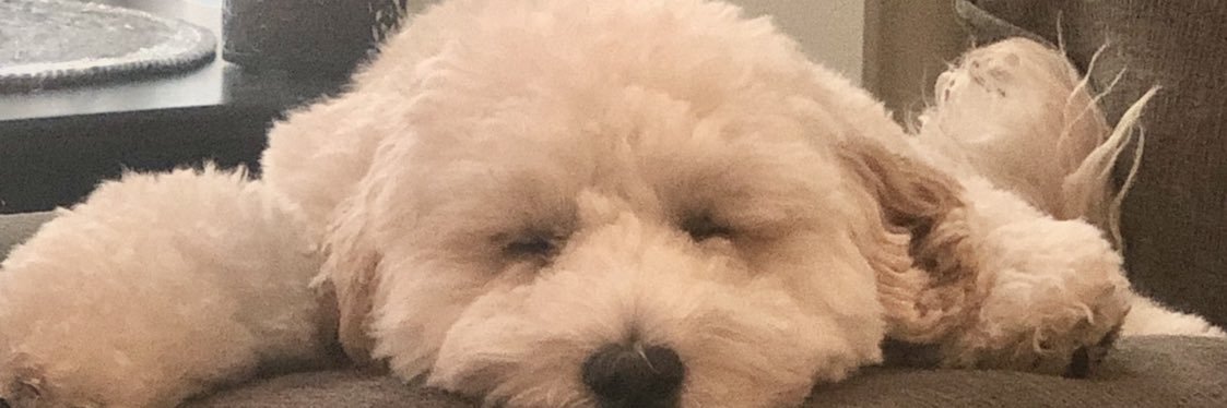 Shawnalap's profile banner image