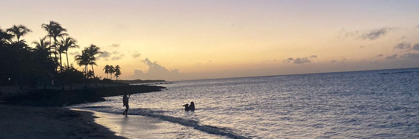 Hannah Cabrera banner