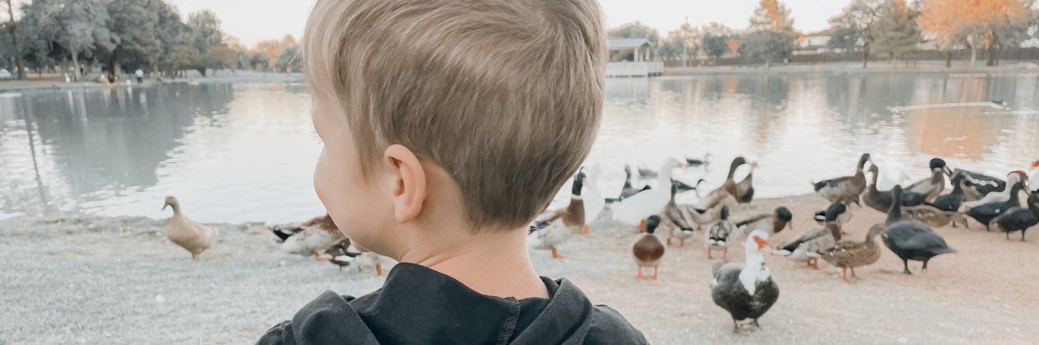 becelaine_'s profile banner image