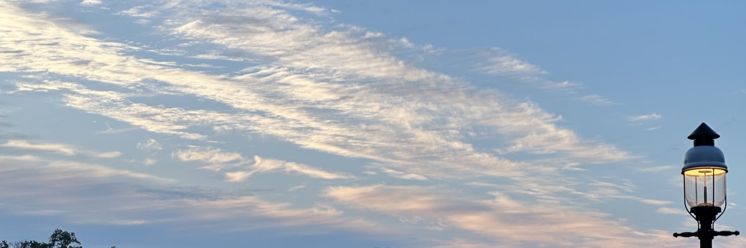 existingentity's profile banner image