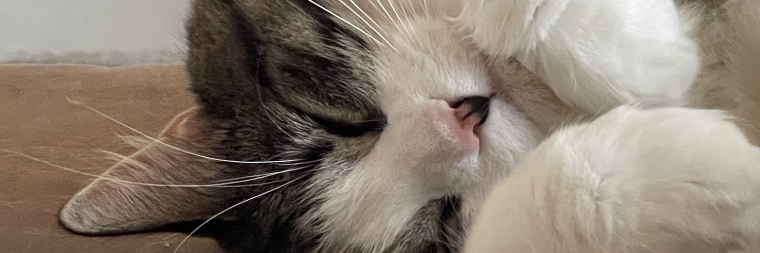 RamosNinoshk's profile banner image