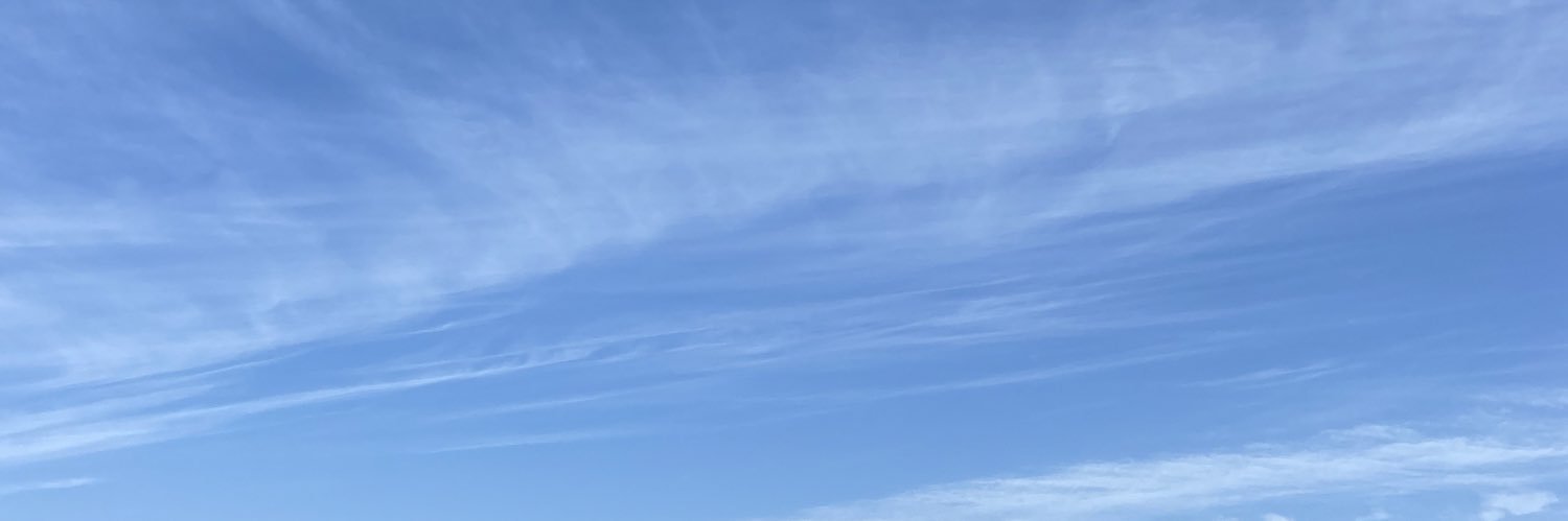 Panp555Oriri's profile banner image