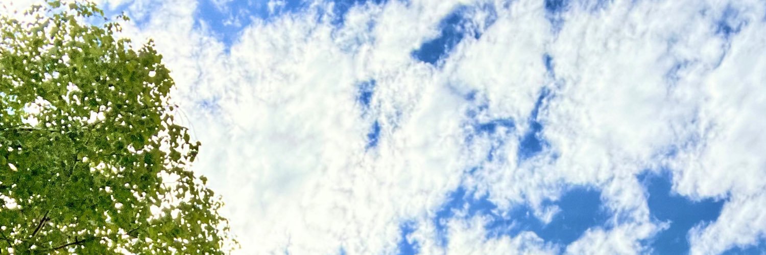 JuliaBerg71's profile banner image