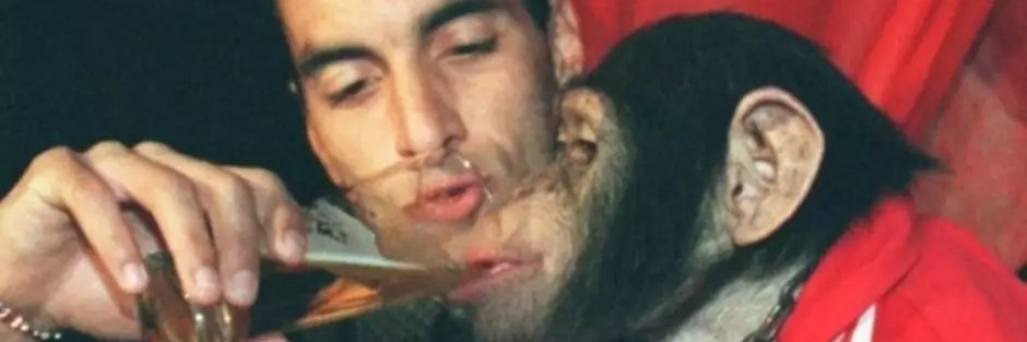Orangotango Lamacchia Vascainoᶜʳᵛᵍ banner