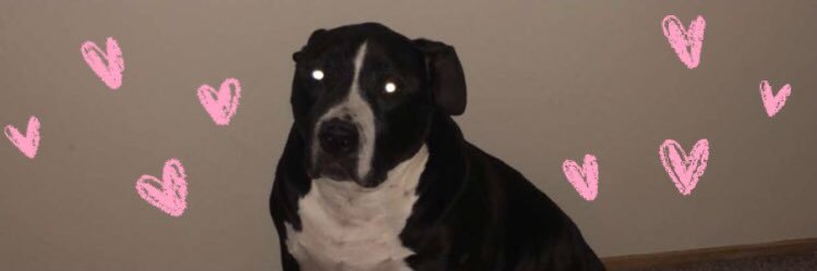 StarrAven_'s profile banner image