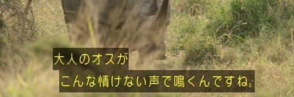 モラトリアム29 banner