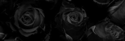 kaleigh_wilson's profile banner image