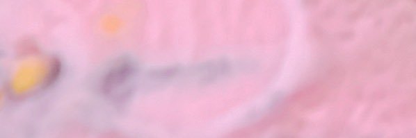 mi__11o's profile banner image
