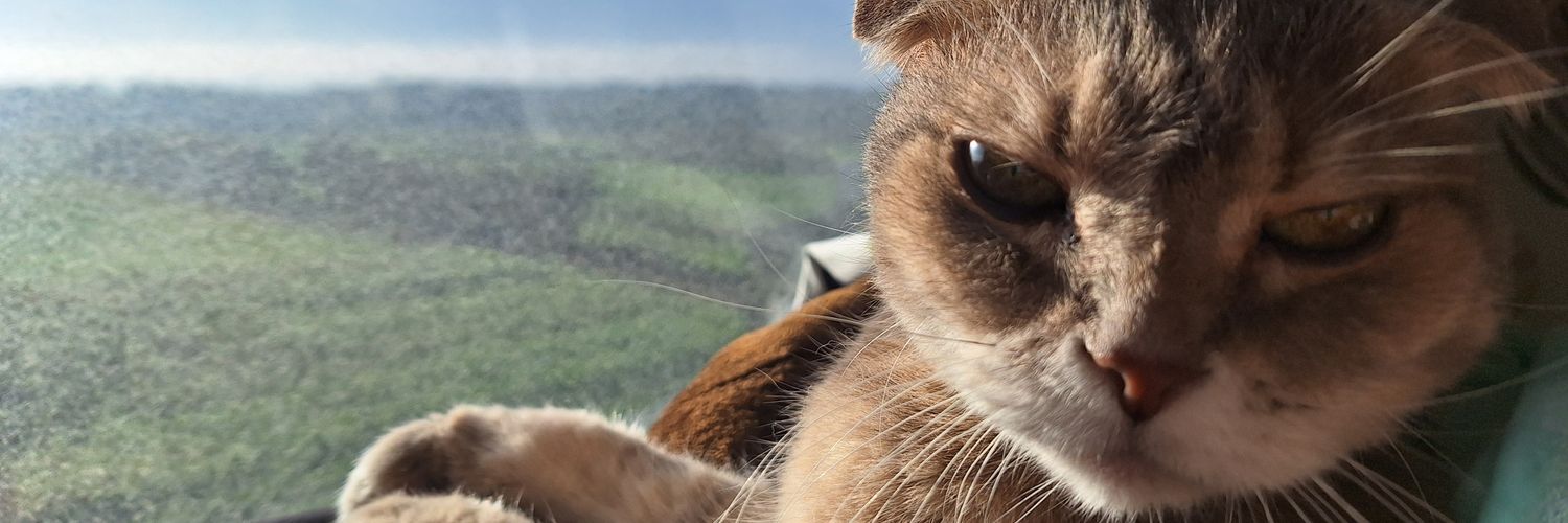 whatcoat7802's profile banner image
