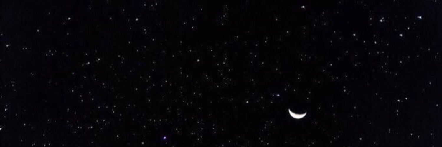 ali_shook_'s profile banner image