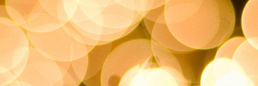 williamYa98's profile banner image