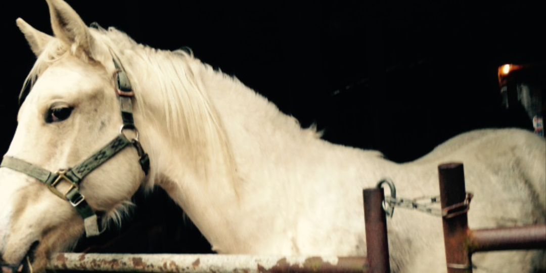 ChristaaFayee's profile banner image