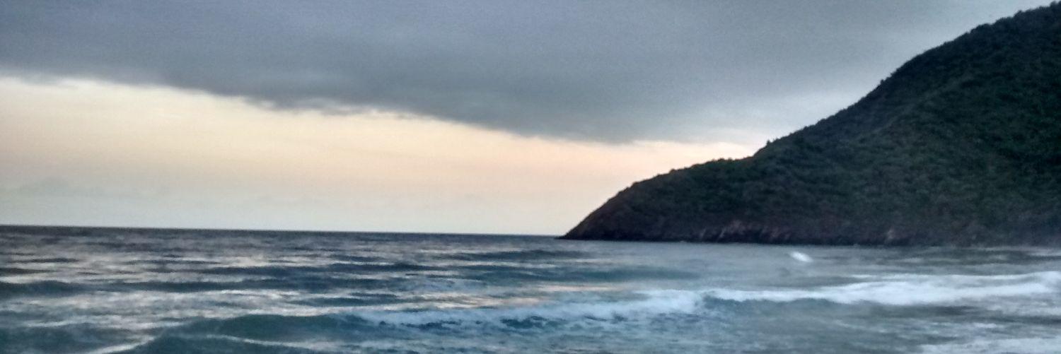 torvichda's profile banner image