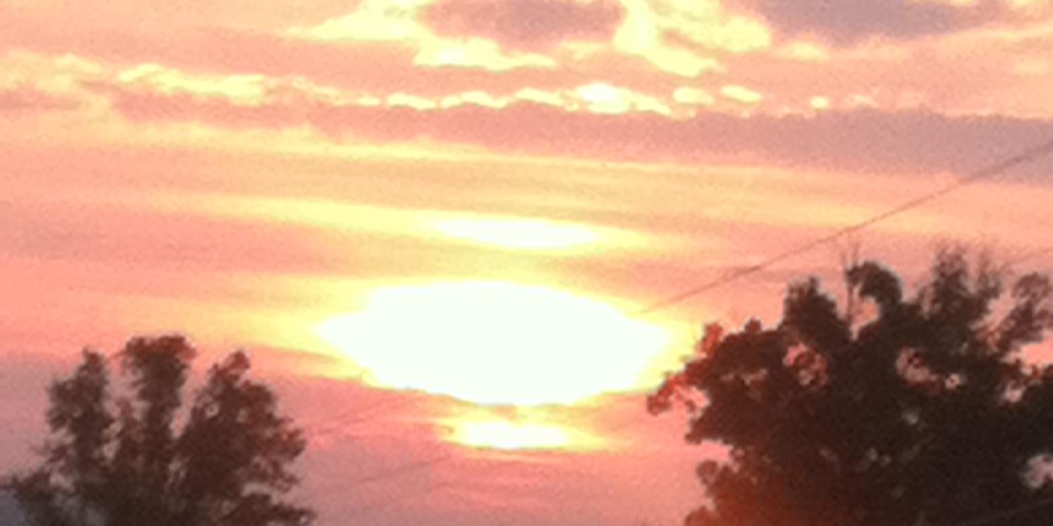robison_tracey's profile banner image