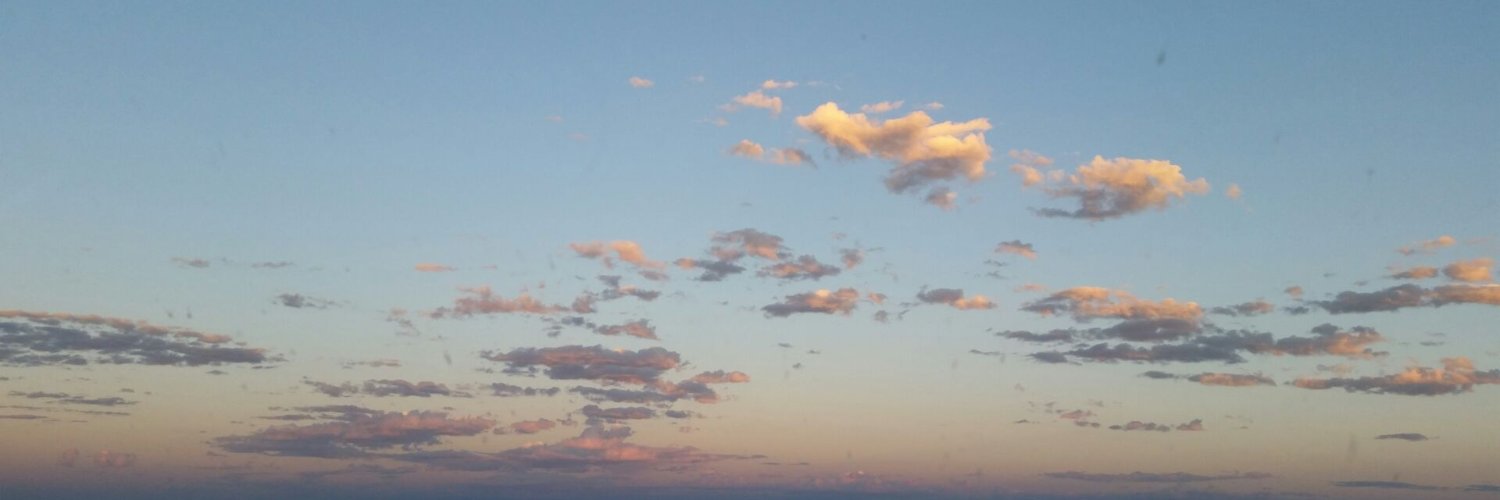 🇺🇸TeresaO banner
