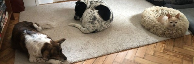 Christopher P. Mooney banner