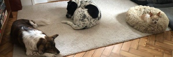 ChrisPatMooney Profile Banner