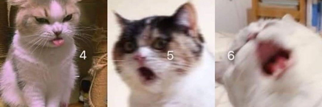 Henaarmc's profile banner image