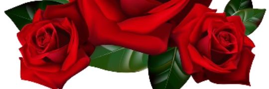 riaperangin's profile banner image