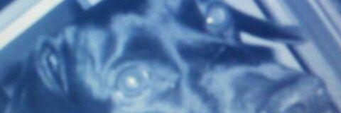 MMCVITO's profile banner image