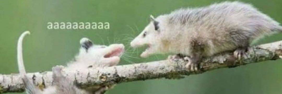 🌻 Laura Lou 🦎 banner