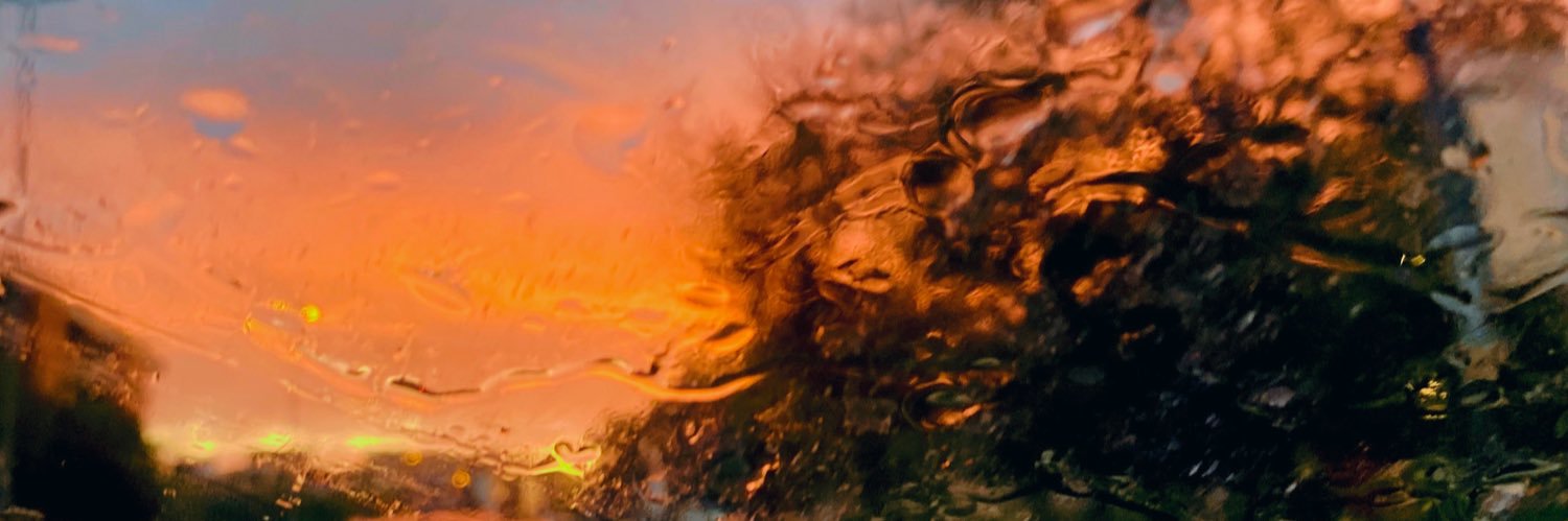 Carmen banner