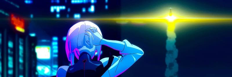 Stallion Duck 🇵🇸 banner