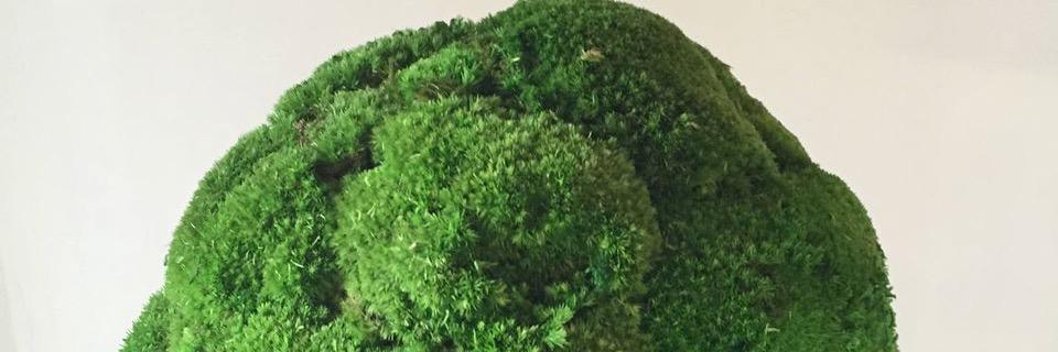 vert_jardin's profile banner image