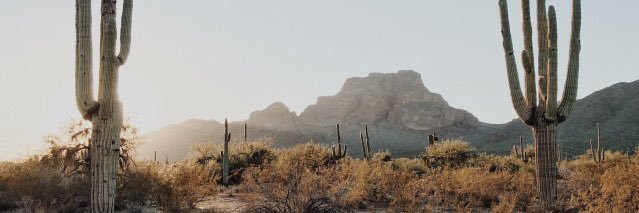 tumblrs13's profile banner image