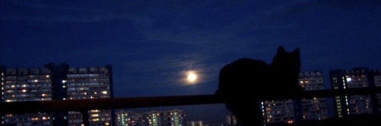 kare. banner