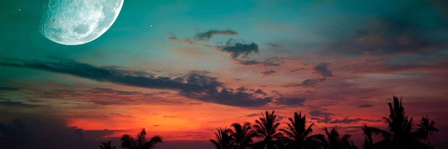 arekalewski's profile banner image